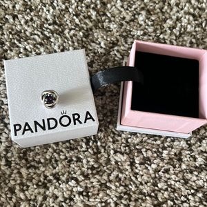 February Purple Eternity Circle Charm